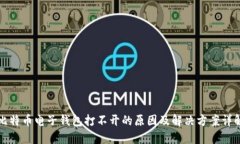 比特币电子钱包打不开的